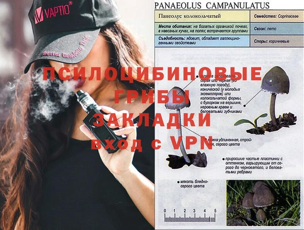 PSILOCYBIN Зерноград
