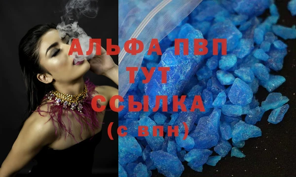PSILOCYBIN Зерноград