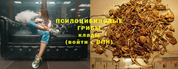 PSILOCYBIN Зерноград
