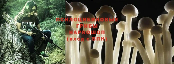 COCAINE Заводоуковск