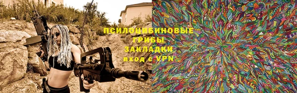 PSILOCYBIN Зерноград