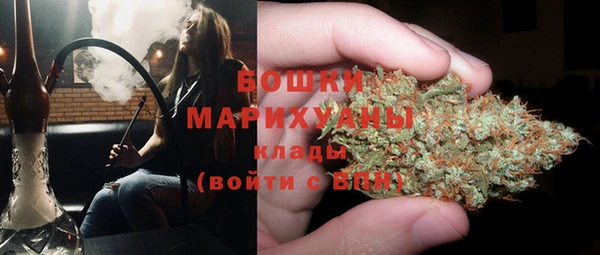PSILOCYBIN Зерноград