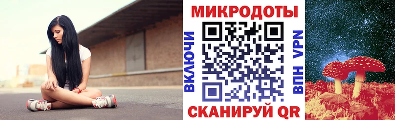 дарнет шоп Лыткарино Псилоцибиновые грибы Cubensis