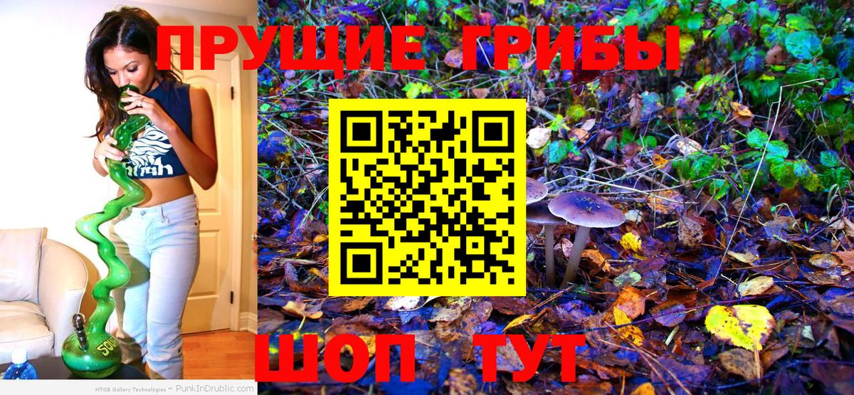 Лыткарино  Галлюциногенные грибы Magic Shrooms  Вход с VPN  Псилоцибиновые грибы MAGIC MUSHROOMS 